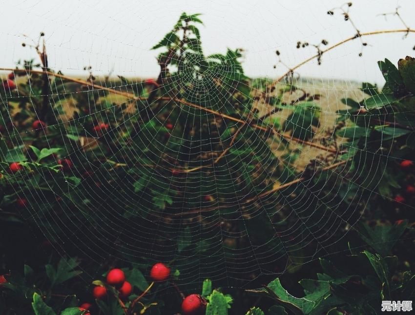 想要体验田园生活的悠闲与美好？桃源深处有人家》等你来打造理想家园！
