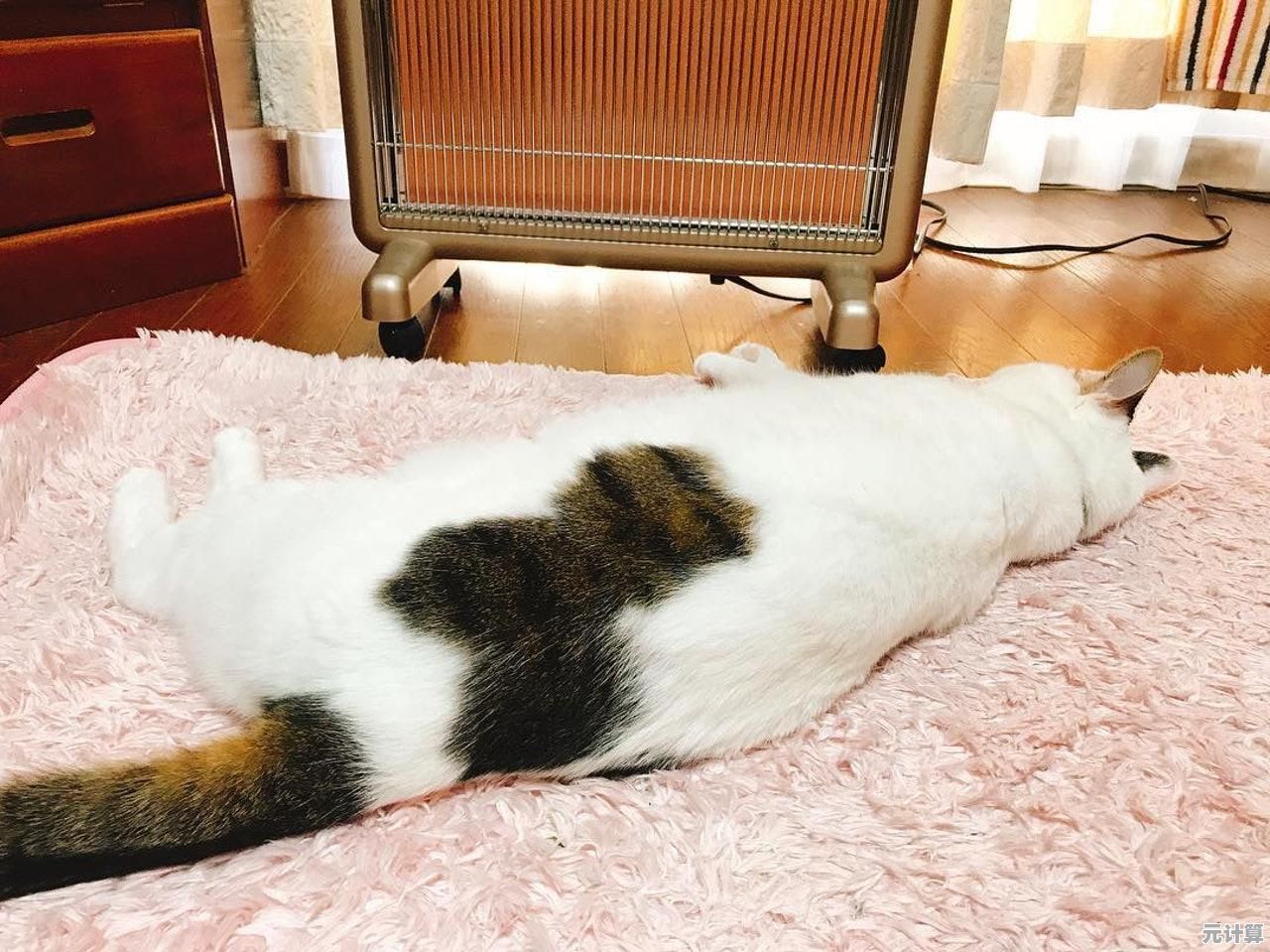 2025年手机散热问题高效解决方案，告别过热困扰