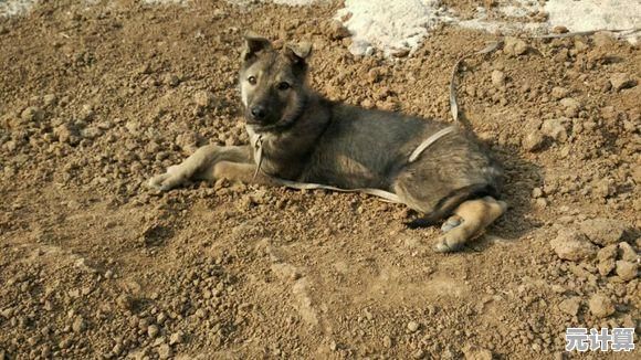 还在找休闲游戏？鱼主人》让你边钓鱼边赚金币！