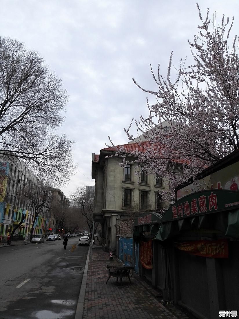 小米手机系统重装指南：轻松恢复流畅如新体验