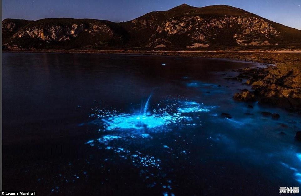 个性化图片密码在Win11的应用，让数据保护更简单高效