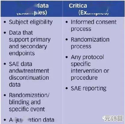 探索SV的多重含义：从技术术语到日常应用全解析