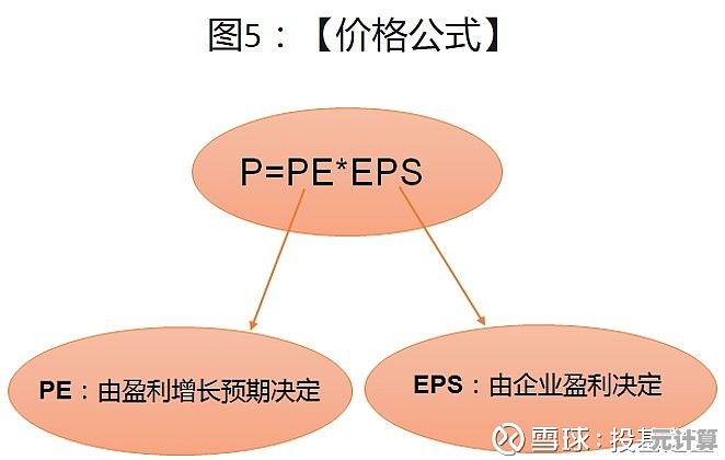 全面探讨PE的含义：从基础定义到实际应用解析