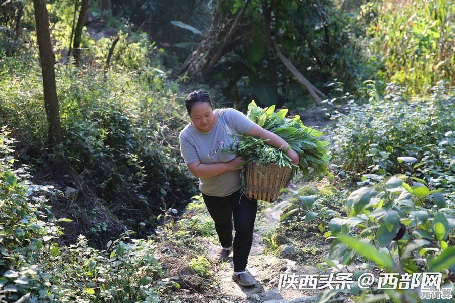 冒险经营两不误?兔克创业记免费版》带给你超轻松快乐的游戏体验! 冒险经营两不误?兔克创业记免费版》带给你超轻松快乐的游戏体验!