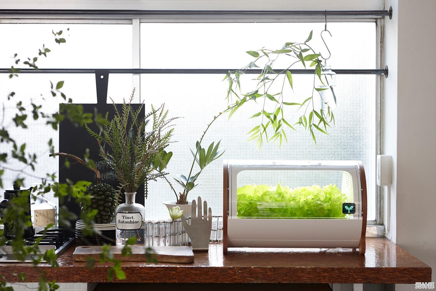 想挑战策略与反应力？植物大战僵尸随机模仿者手机版》等你来战！