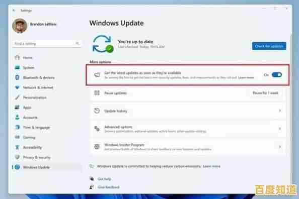 Win11正式版最新版本号快速查询方法分享