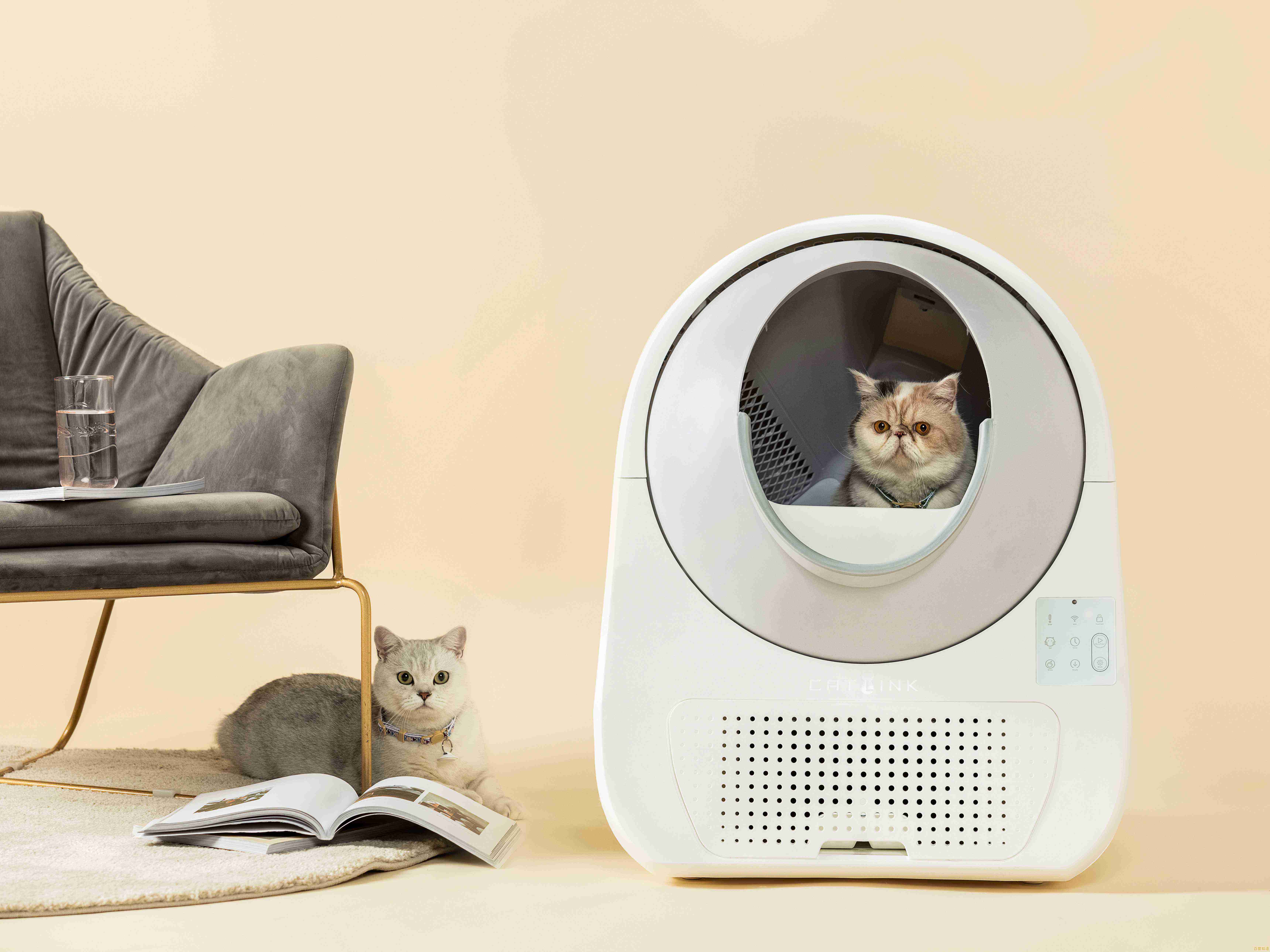 当猫咪遇上高科技路由器:探索智能养宠的未来趋势 当猫咪遇上高科技路由器:探索智能养宠的未来趋势