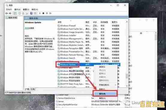 轻松掌握Win11家庭版账户名称更改技巧，提升使用体验