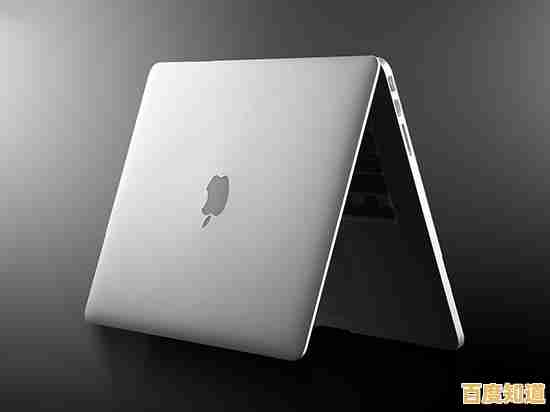 如何将苹果电脑的双系统恢复为单一 macOS 系统的详细教程