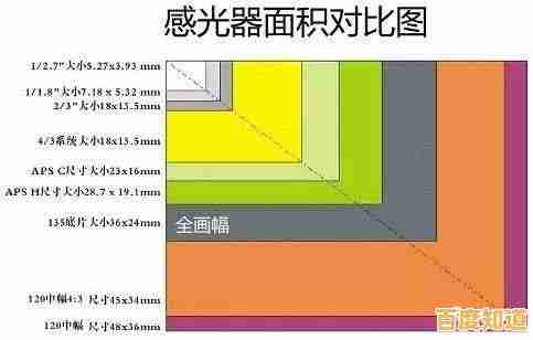 从口袋机到专业款：相机尺寸天梯图解，轻松找到你的完美匹配