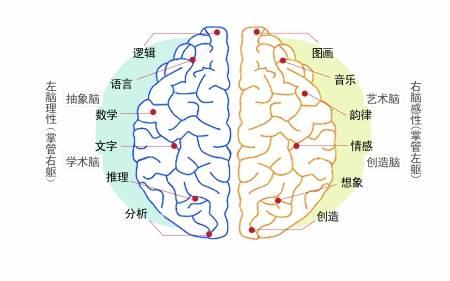 探索手机操作系统的奥秘：如何成为智能设备性能与体验的中枢