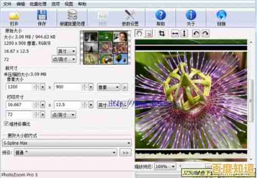 如何在Windows 11中自定义显示字体大小与清晰度