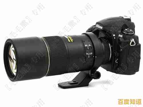 探索全画幅单反天梯图：快速定位最佳相机，提升摄影作品质量