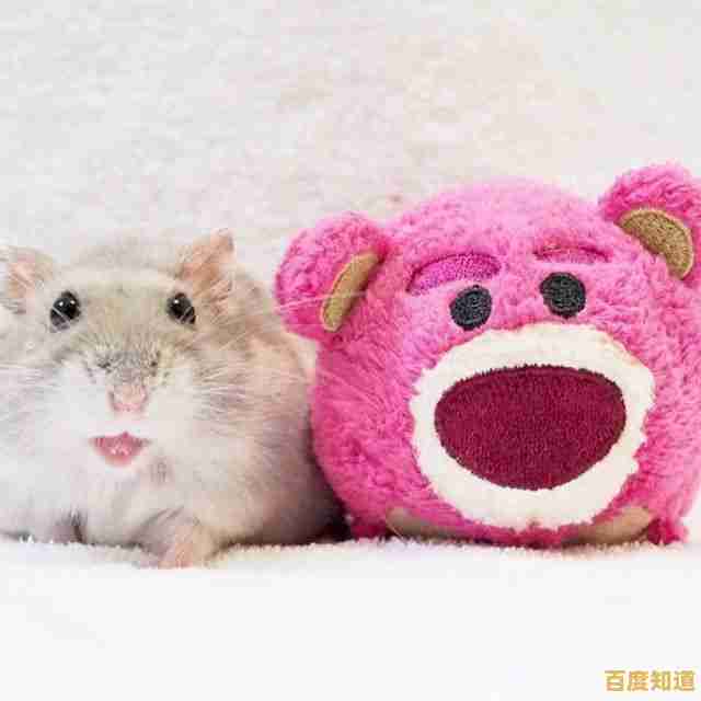 喜欢可爱仓鼠和模拟经营？鼠鼠商业街》满足你的所有需求！