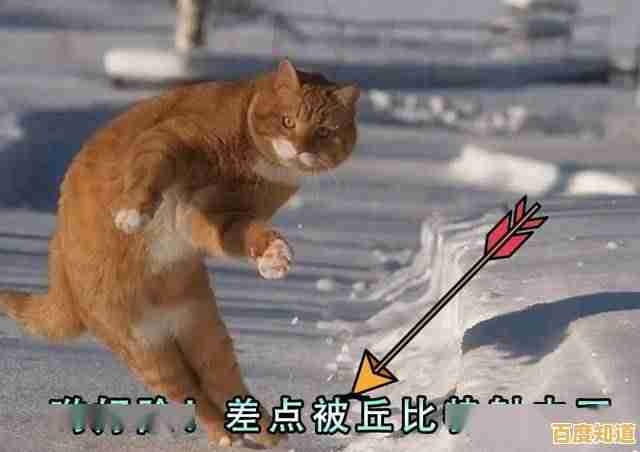 厌倦了单调的经营游戏?放克猫猫》带你解锁撸猫+养成的双倍快乐! 厌倦了单调的经营游戏?放克猫猫》带你解锁撸猫+养成的双倍快乐!