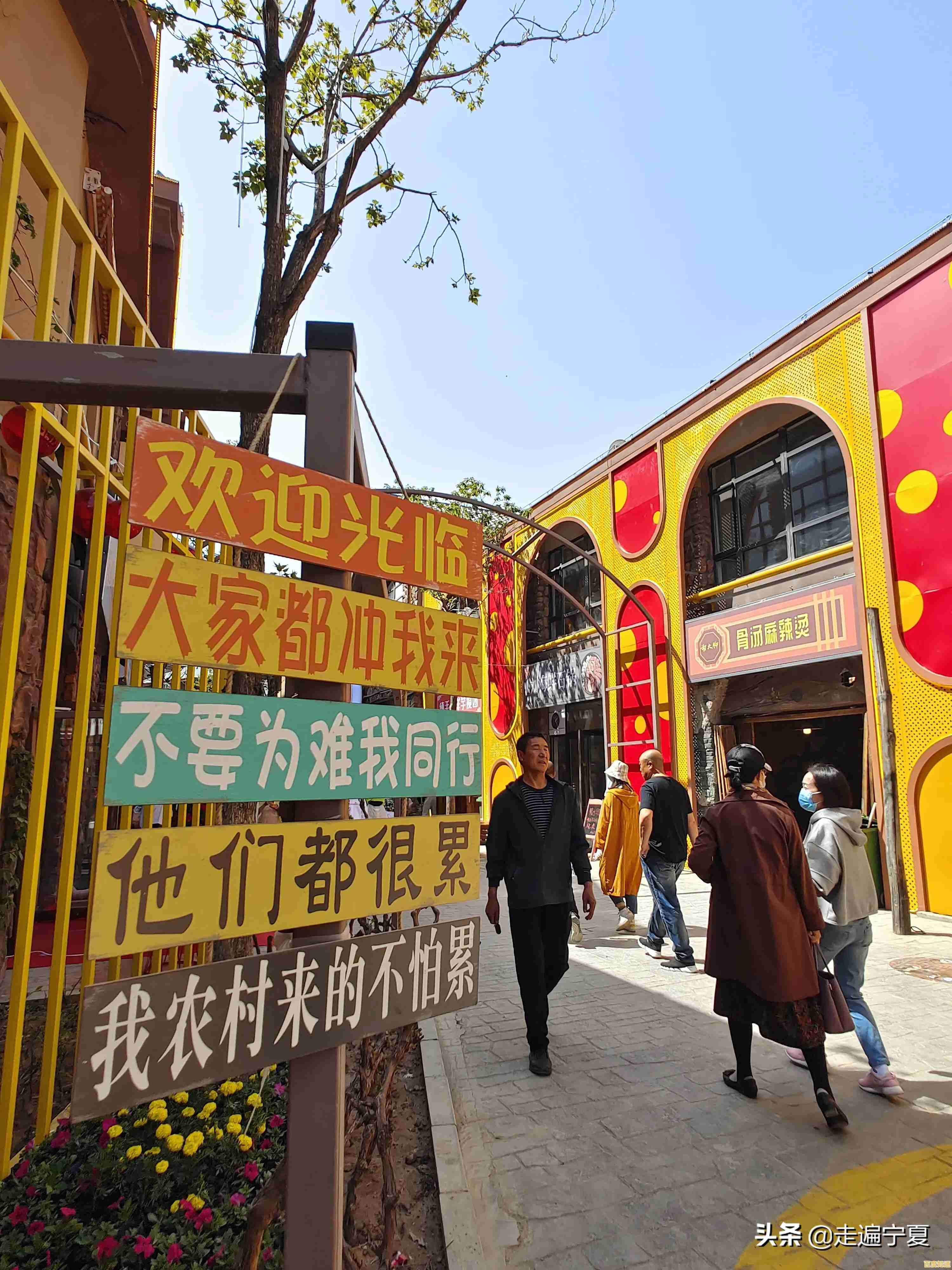 2021年度手机品牌全球排行榜单:热门品牌消费趋势全面揭秘