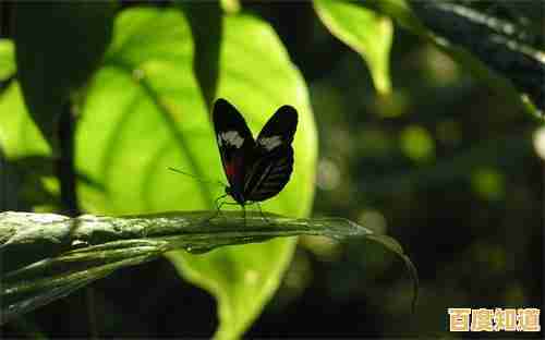 天梯图揭晓2021最佳内存条：品牌排名与型号选购指南