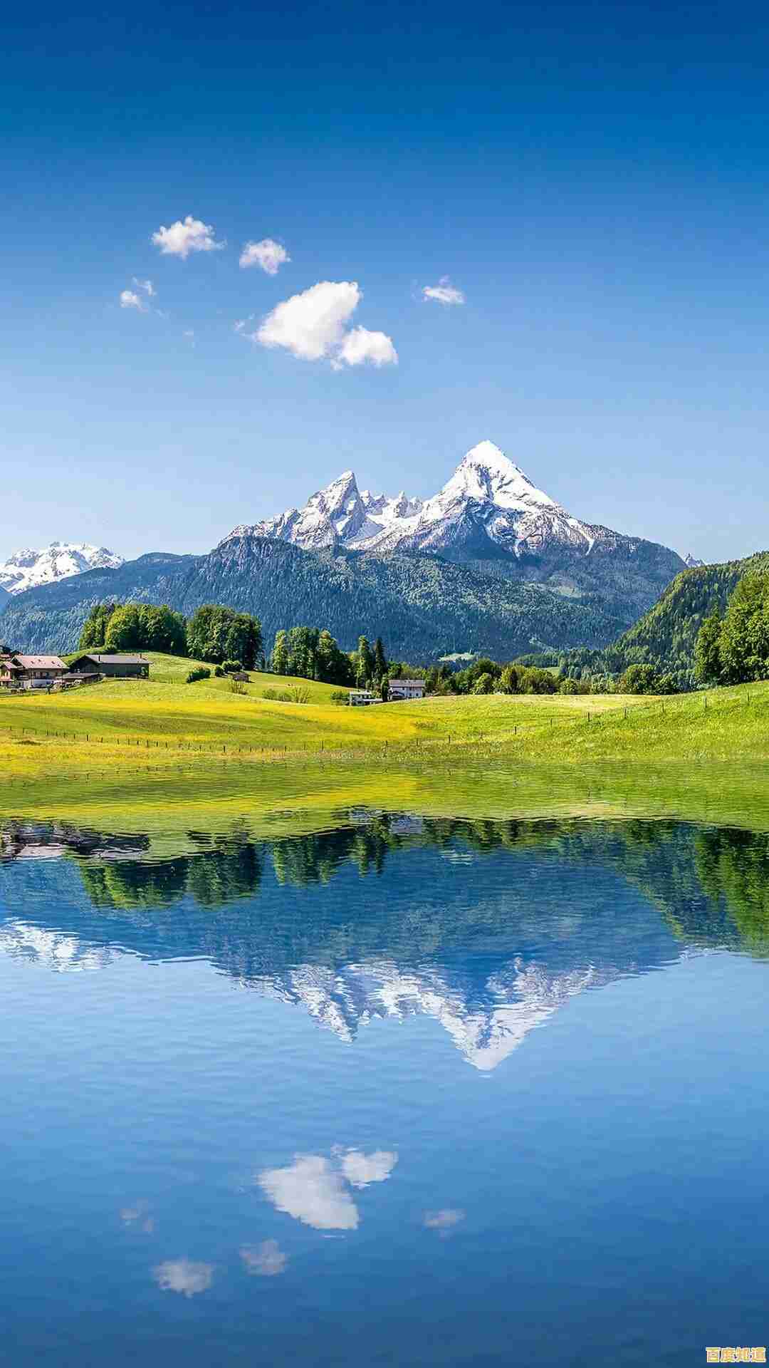 探索高清手机壁纸的精选与下载秘诀，打造个性化视觉盛宴