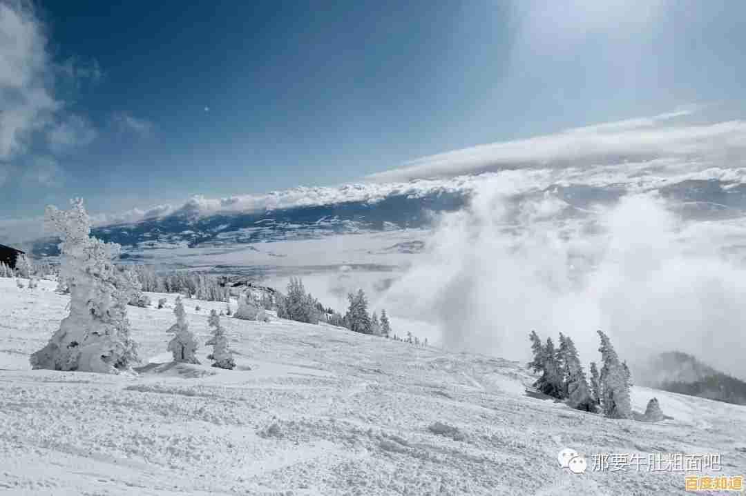 还在找适合消磨时间的休闲游戏?咕咚小镇让你停不下来! 还在找适合消磨时间的休闲游戏?咕咚小镇让你停不下来!