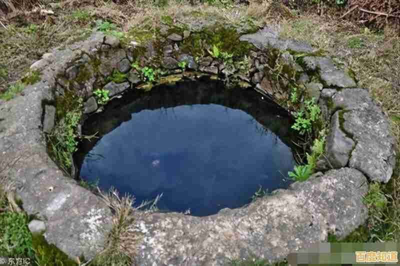 想体验真实历史背景下的养成挑战？试试《我的孩子生命之泉完整版》