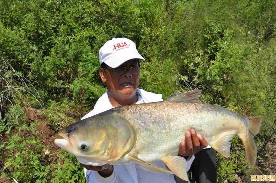 小鱼教您应对Word输入覆盖现象,恢复文档正常排版技巧 小鱼教您应对Word输入覆盖现象,恢复文档正常排版技巧