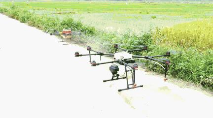 还在找有趣模拟经营游戏?兔克创业记最新版》的兔子员工等你来指挥!