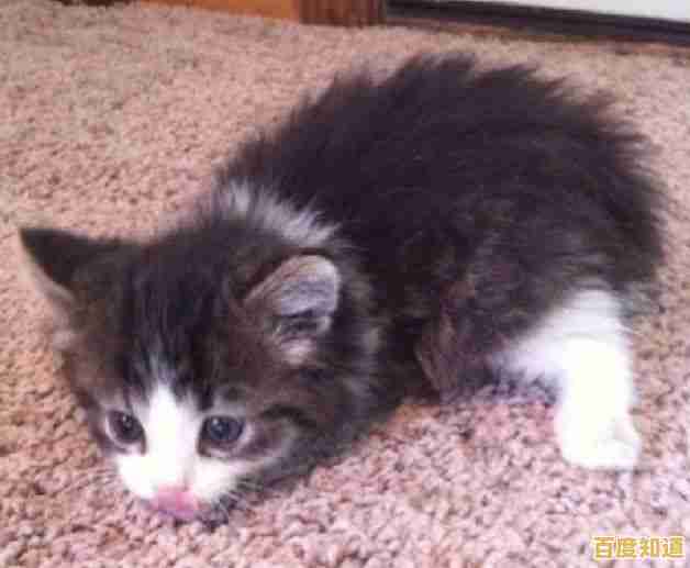 激活锁:守护您的财产安全,打造无忧数字生活新体验