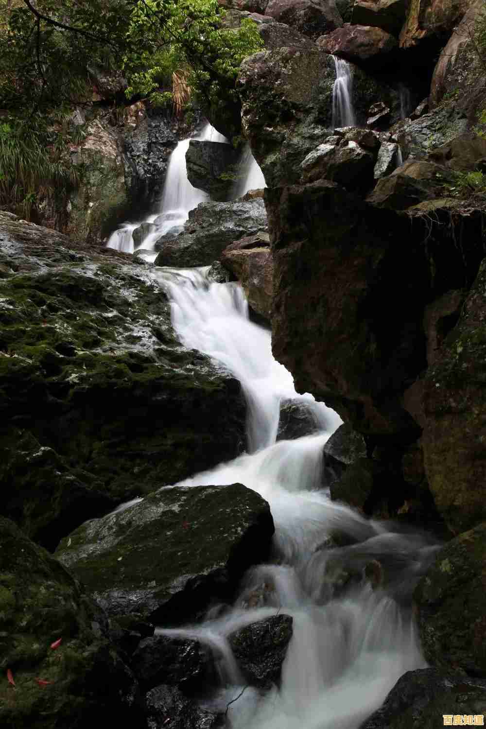 害怕突然出现的怪兽?绝望黑暗洞穴挑战你的反应极限!