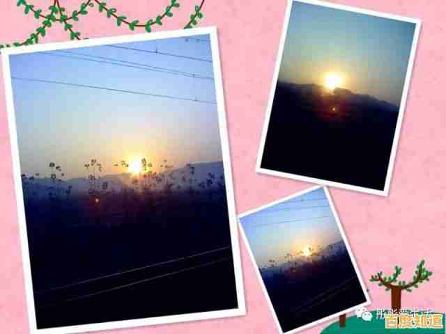 手机相册：定格时光碎片，编织属于你的温暖记忆画卷