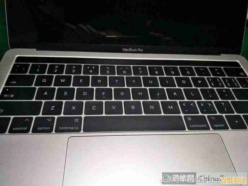 Windows 11开机后键盘失灵?排查与解决方法全解析