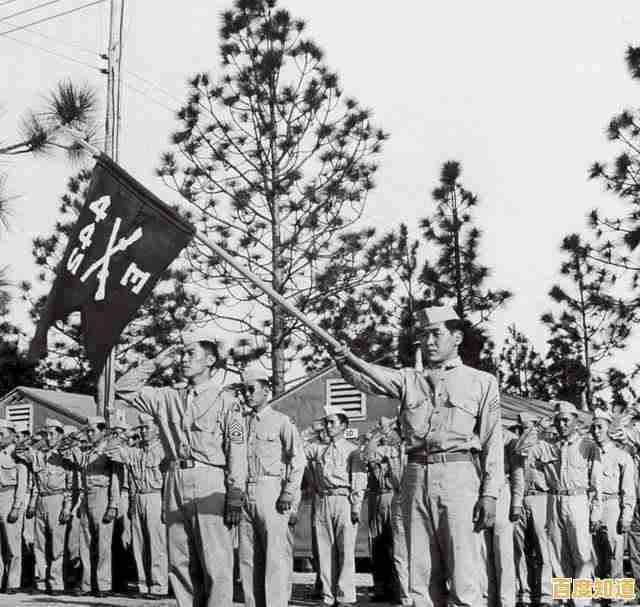 如何积累战斗经验成为二战王者？快来'勇猛之路二战'证明你的实力！