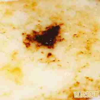 想挑战不同难度关卡？流行泡沫(Pop Bubble)的消除乐趣你体验了吗？