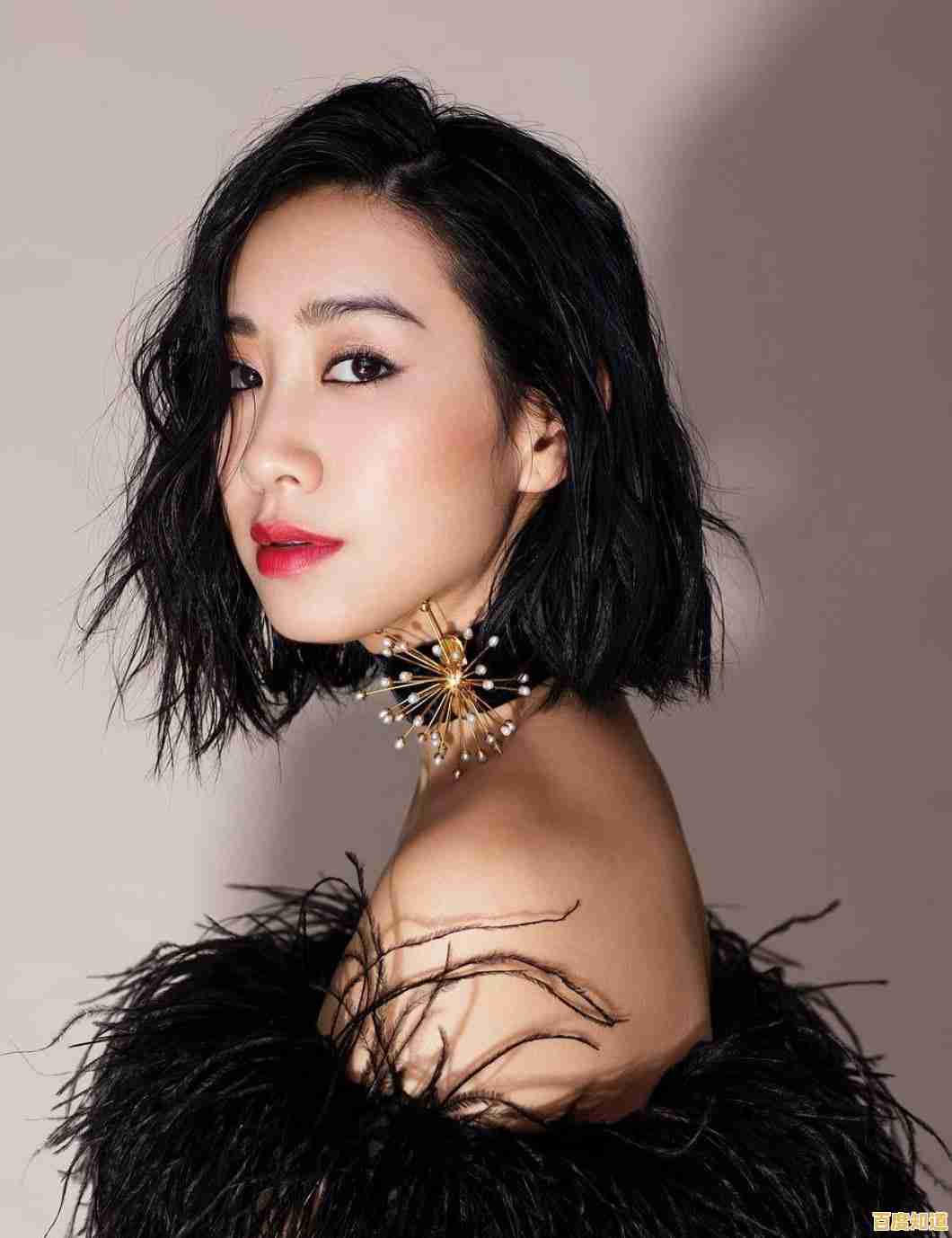 2008年显卡性能天梯图全解析：排名对比与选购技巧指南