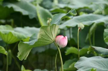 【智能抠图换背景,照片秒变高级艺术感大片】 【智能抠图换背景,照片秒变高级艺术感大片】