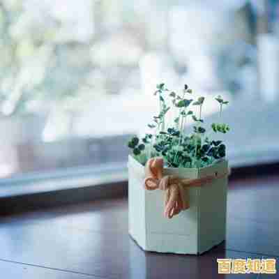 解锁微博会员的独特优势,让你的社交体验更上一层楼! 解锁微博会员的独特优势,让你的社交体验更上一层楼!