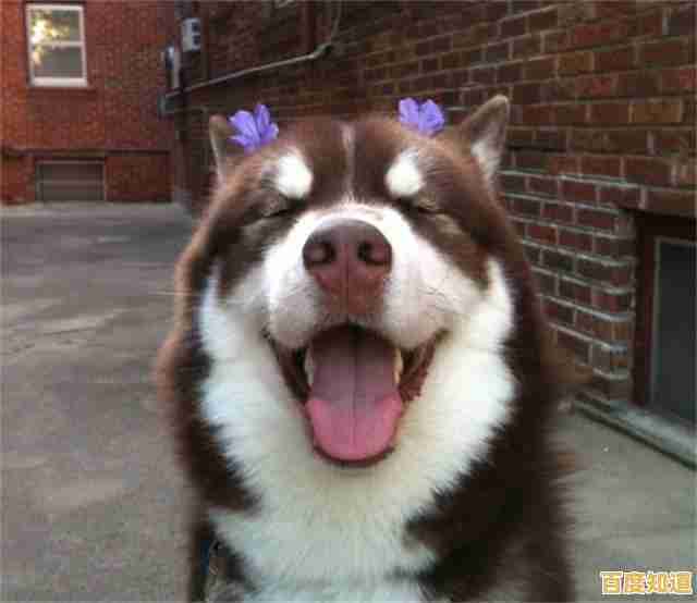 想体验地下世界的激烈战斗?虫虫争霸战"多种模式等你来战! 想体验地下世界的激烈战斗?虫虫争霸战"多种模式等你来战!