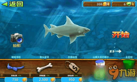 谁说进化之路只能孤单？快来《饥饿鲨进化中文版》开启你的鲨鱼征服之旅！