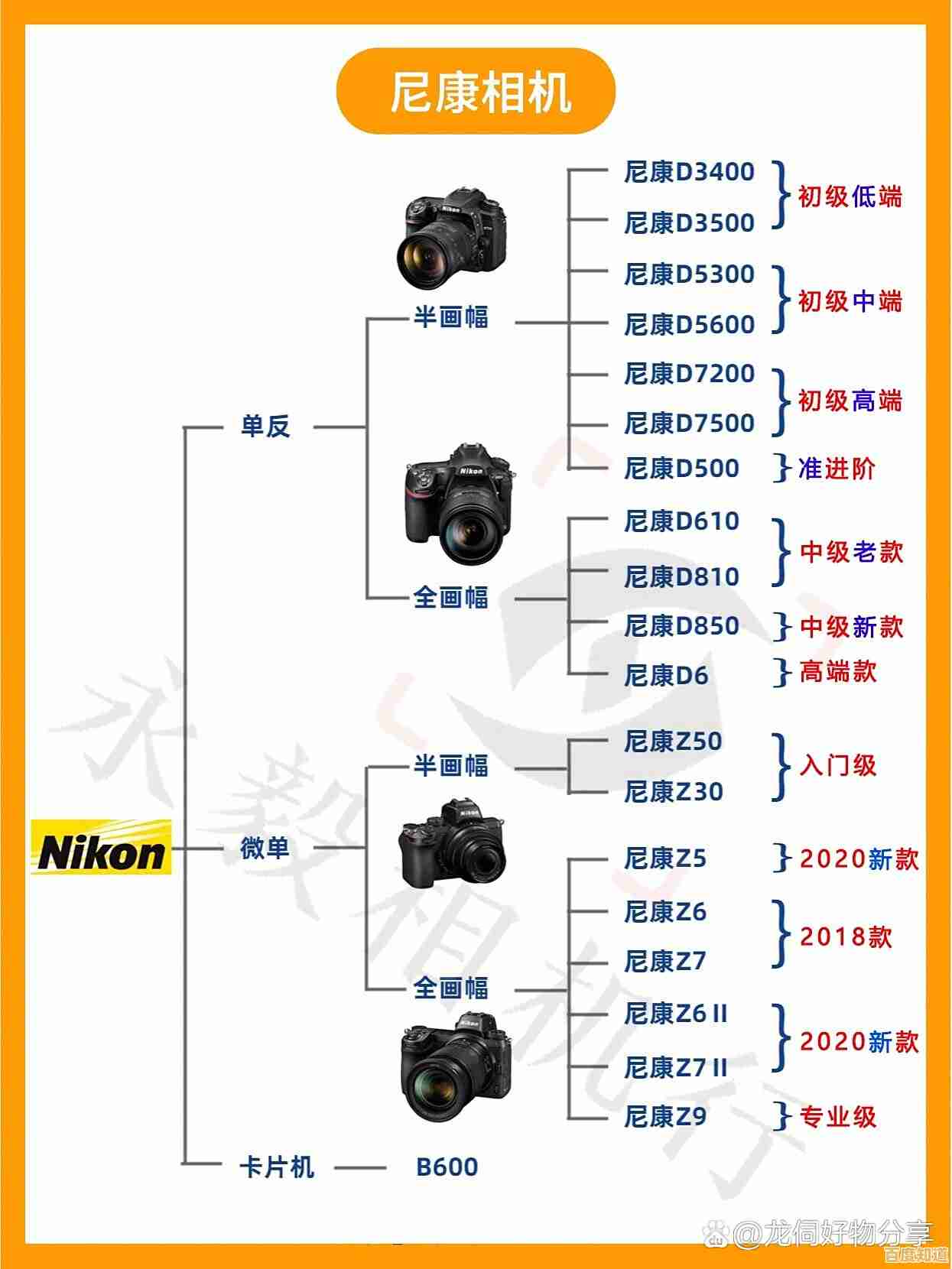 深入解读尼康单反相机系列天梯图,助你快速找到最适合的摄影装备 深入解读尼康单反相机系列天梯图,助你快速找到最适合的摄影装备